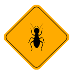hormigas-exterminator-1